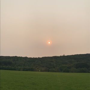 Meet your Posher, Isha